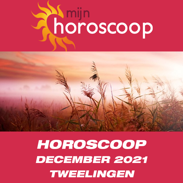 Maandelijkse horoscoop voor de maand December 2021 voor Tweelingen