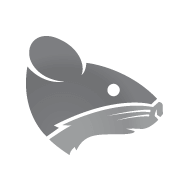 Rat