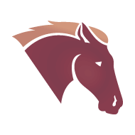 Paard